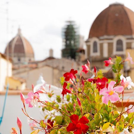 The Florence Dream Terrace - Elena Grey Bilik gambar